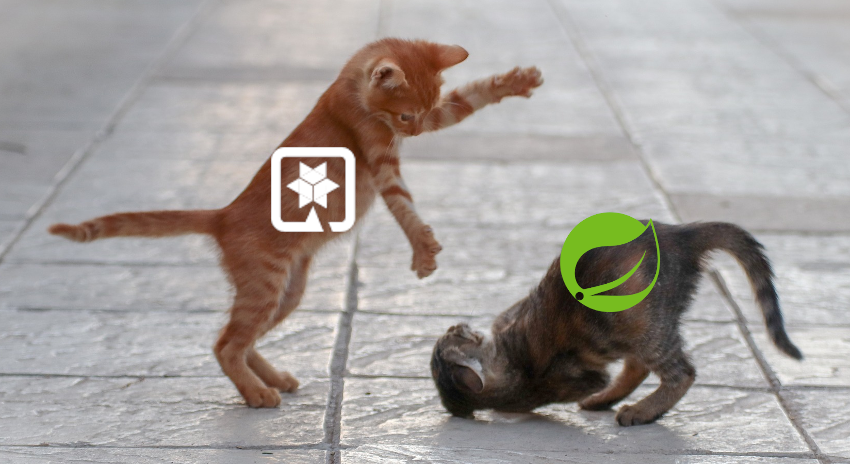 Cat fight between Quarkus and Spring